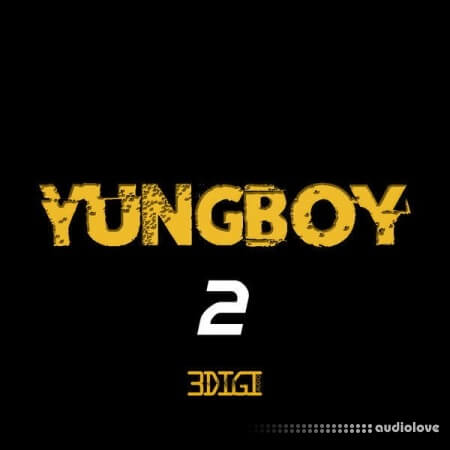3 Digi Audio Yungboy 2