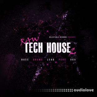 Delectable Records Raw Tech House 2