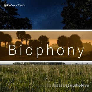 Pro Sound Effects Biophony