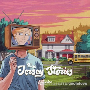 Streamline Samples New Jersey Stories
