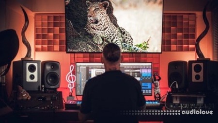 Udemy Producer Cheat Code Music Production, Sound Design and More