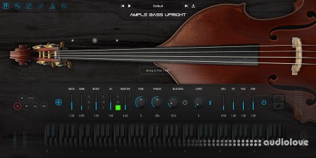 Ample Sound Ample Bass Upright