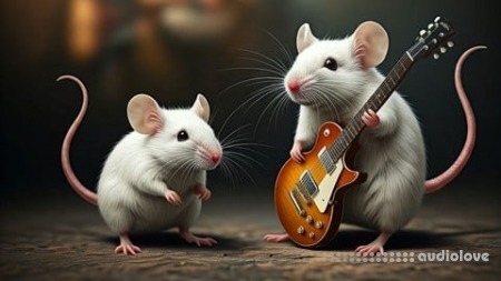 Udemy Your Music, Your Money