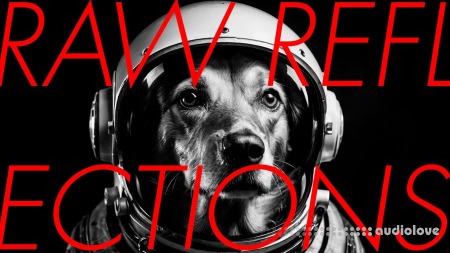 Imaginando VS Raw Reflections by Perplex On