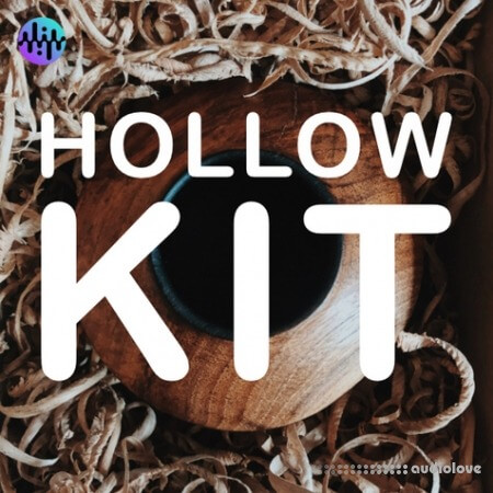 Noiiz Hollow Kit