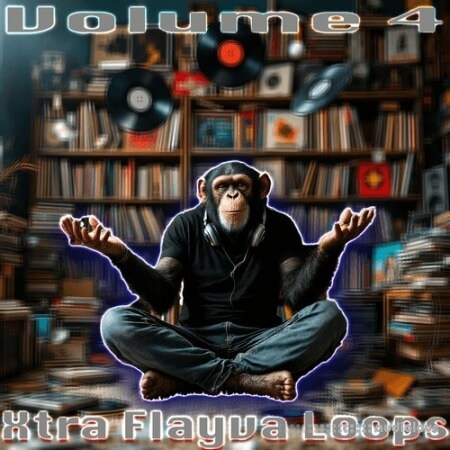 Crystal Distortion Crystal D's Xtra Flayva Loops