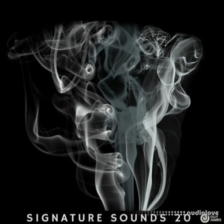 Olly James Signature Sounds Vol.20 WTW Bass House
