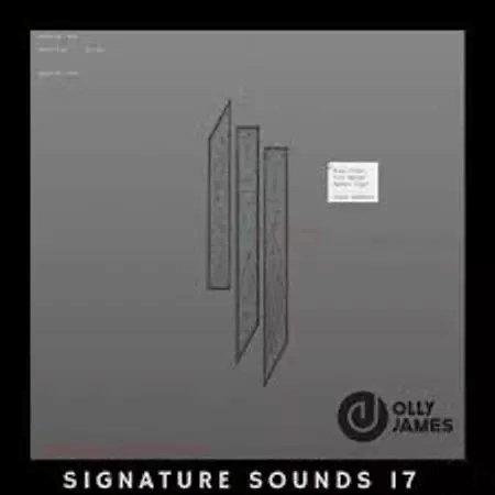 Olly James Signature Sounds Vol.17 Fuji Opener