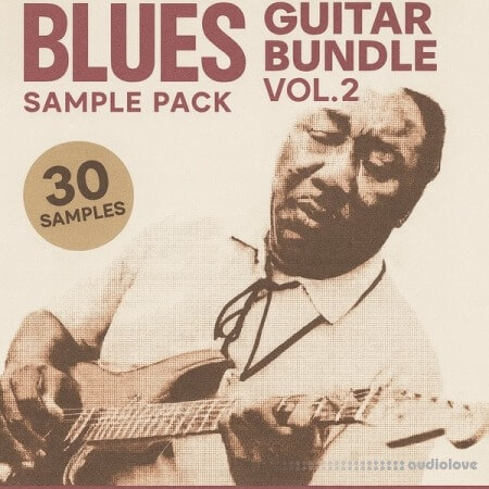 Soul Chemist Blues Guitar Bundle Vol.2