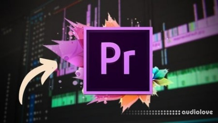 Udemy Premiere Pro Masterclass: Beginner to Advanced Video Editing