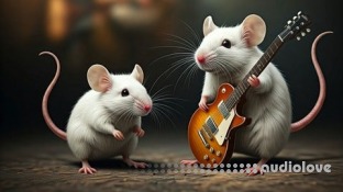 Udemy Your Music, Your Money