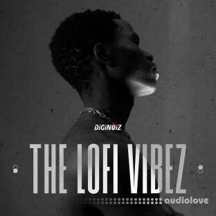 Diginoiz The Lofi Vibez