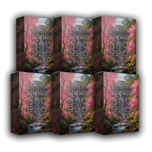 Noise Masters Liquid Box Drum and Bass Pack