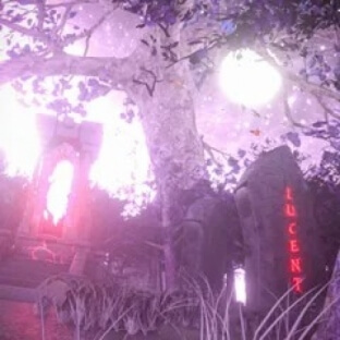 Japan Lucent Sound Kit