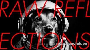 Imaginando VS Raw Reflections by Perplex On