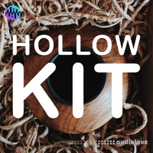Noiiz Hollow Kit