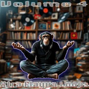 Crystal Distortion Crystal D's Xtra Flayva Loops