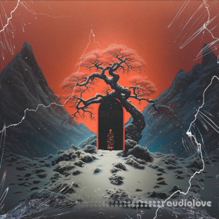 Soul Chemist Benny The Butcher Sample Pack | Prime Time