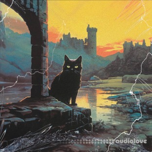 Soul Chemist Domo Genesis Sample Pack | Rusty