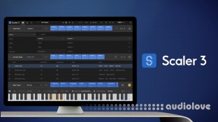 Scaler Music Scaler 3