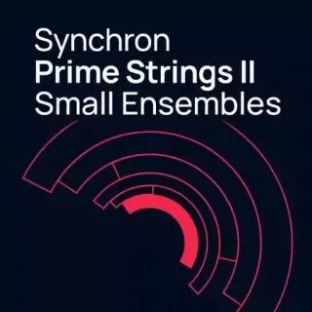 Vienna Symphonic Library Synchron Prime Strings II (VSL Synchron Player)