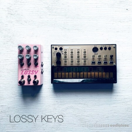 David Hilowitz Lossy Keys by Decent Samples [Decent Sampler]