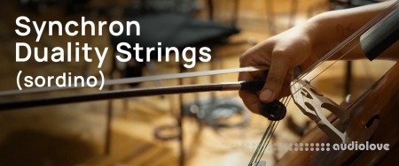 Vienna Symphonic Library Synchron Duality Strings Sordino Full for Synchron Player