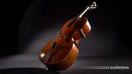 VSL Vienna Symphonic Library Synchron Elite Strings Full for Synchron Player