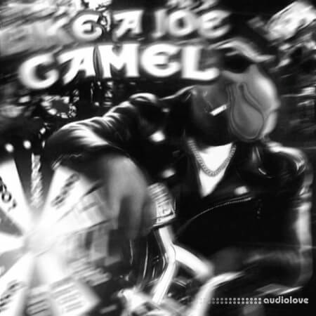 Djcodeinewar Like a Joe Camel Zenology Bank