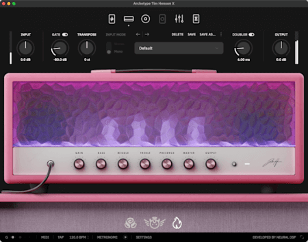 Neural DSP Archetype Tim Henson X