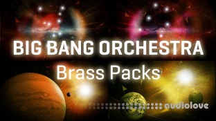 Vienna Symphonic Library Big Bang Orchestra Hercules for Synchron Player