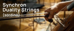 Vienna Symphonic Library Synchron Duality Strings Sordino Full for Synchron Player