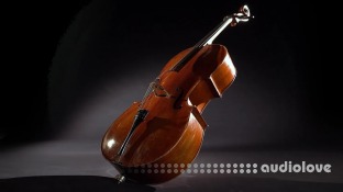 VSL Vienna Symphonic Library Synchron Elite Strings Full for Synchron Player