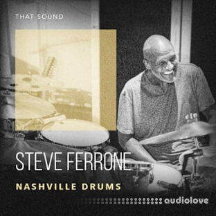 That Sound Steve Ferrone Nashville Drums