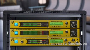 Nevermore Magnetics Anvil