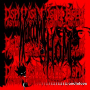 Darkspin Asylum Welcome Home Drum Kit