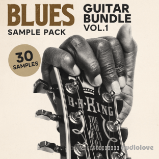 Soul Chemist Blues Guitar Bundle Vol.1