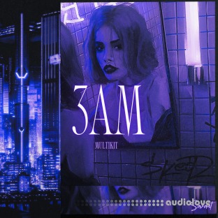 Savant 3AM Multi Kit