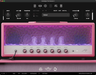 Neural DSP Archetype Tim Henson X