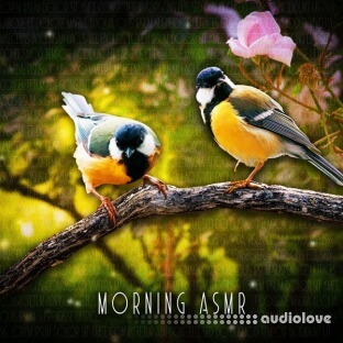 Sound Effects Zone Morning ASMR Sounds Of Birds Chirping