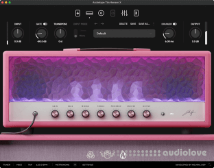 Neural DSP Archetype Tim Henson X