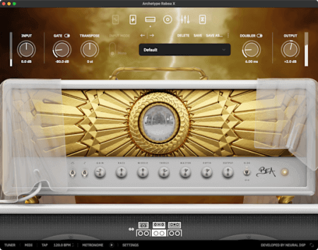Neural DSP Archetype Rabea X