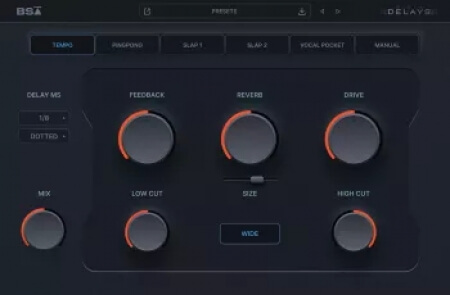 Black Salt Audio BSA Delays