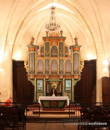 Sonus Paradisi Menesterol Organ Model