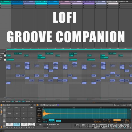 Will Hatton LoFi Groove Companion