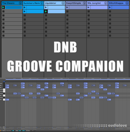 Will Hatton DnB Groove Companion