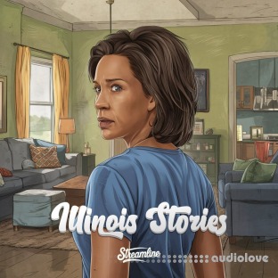 Streamline Samples Illinois Stories