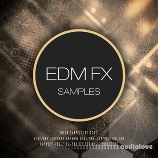 Bluezone Corporation EDM FX Samples