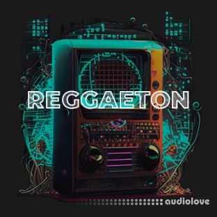 Side Brain Side Brain's Study Group Reggaeton