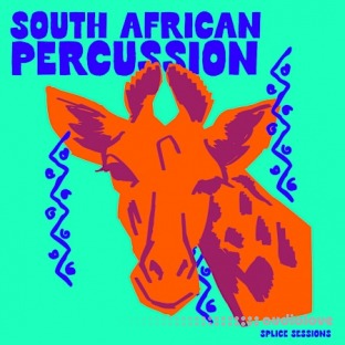 Splice Sessions South African Percussion
